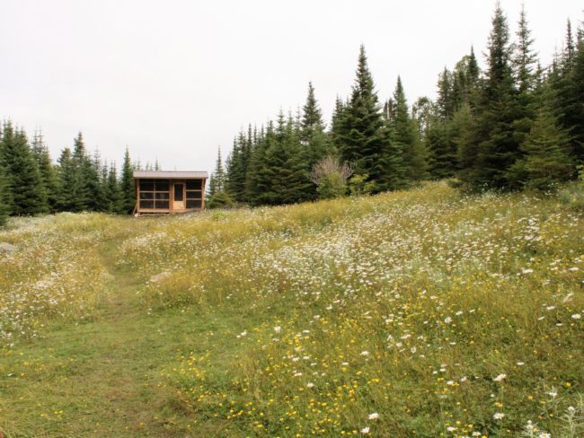Meadow and cabin on Lake Superior. This is on the Slate Islands.